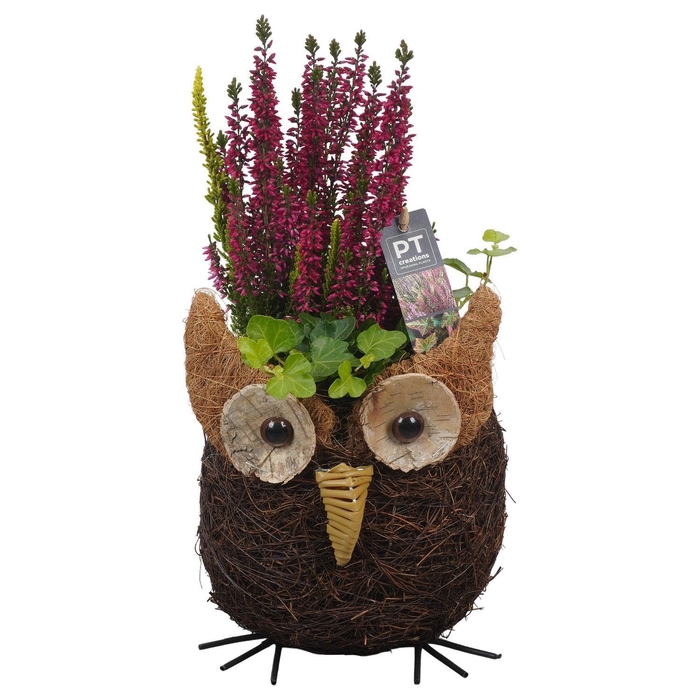 <h4>Arr.   Tuinplanten L%</h4>