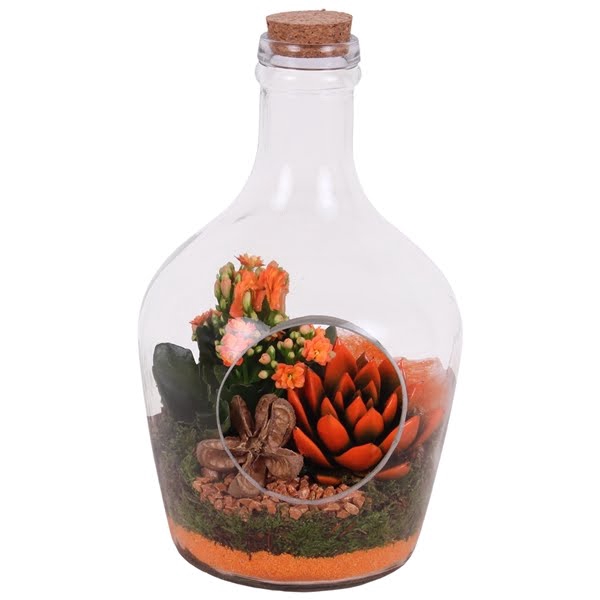 <h4>Autumn Arr. Indoor Glass Terrarium Ø18cm 2PP</h4>