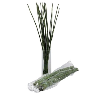 BAMBOE (5 bos per zak)