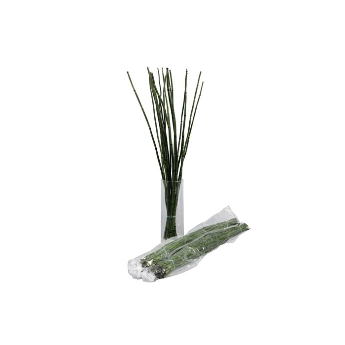 <h4>BAMBOE (5 bos per zak)</h4>