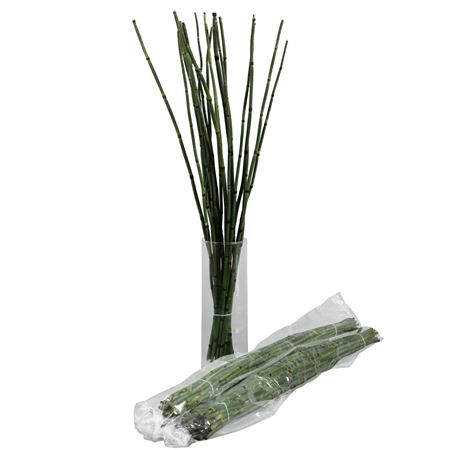 <h4>BAMBOE (5 bos per zak)</h4>