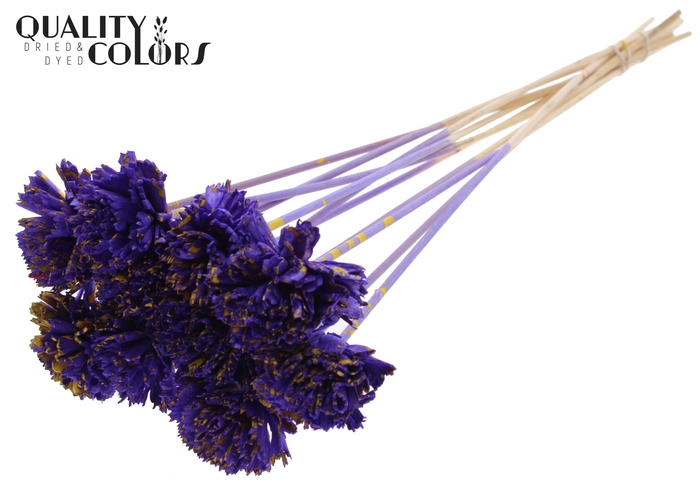 Shola Karnish Flower 6cm on stem Splashed Purple/Yellow