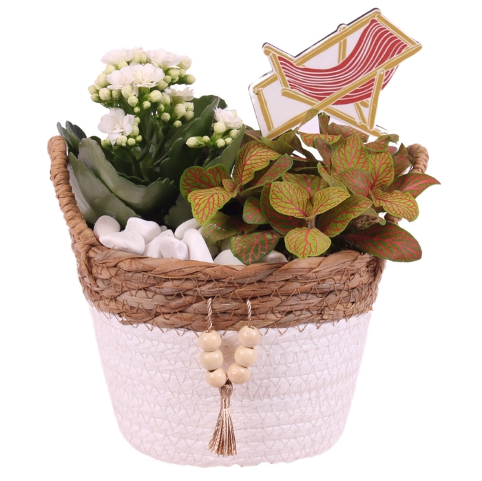 <h4>Opm Maritime Arr. Indoor Willow Basket Round Beads</h4>