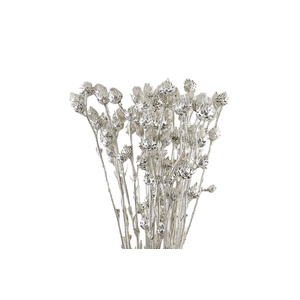 Stingball Klb Platinum