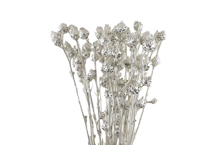 <h4>Stingball Klb Platinum</h4>