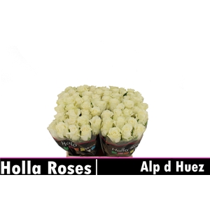 R GR ALPE DHUEZ