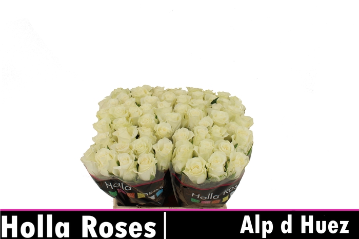 R GR ALPE DHUEZ