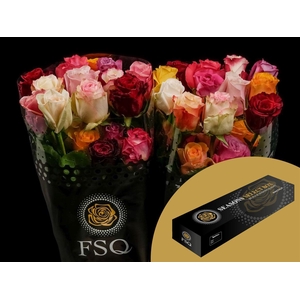 R GR Rainbow Mix Box