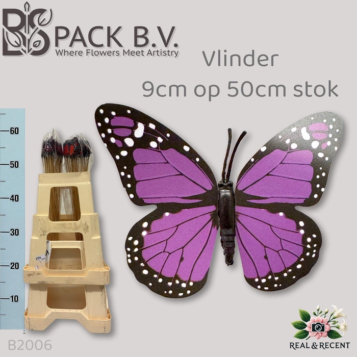 <h4>HUIS EN TUINDECO H%</h4>