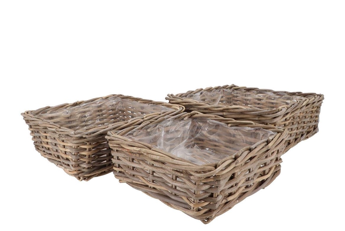 <h4>Rattan Kuboo Basket Square Low S/3 W32/37/42 H13/14/15</h4>