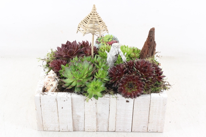 <h4>arr4 Semp VL - Hout 4kant wit L 338/2</h4>