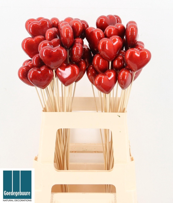 <h4>HARTJE OP STOK H%</h4>