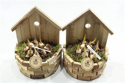 <h4>4480 HOUT HUIS TETE</h4>