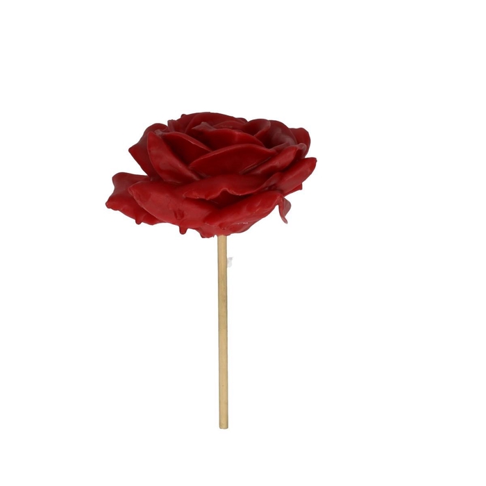 <h4>Bijsteker 25cm Wax roos d10cm</h4>