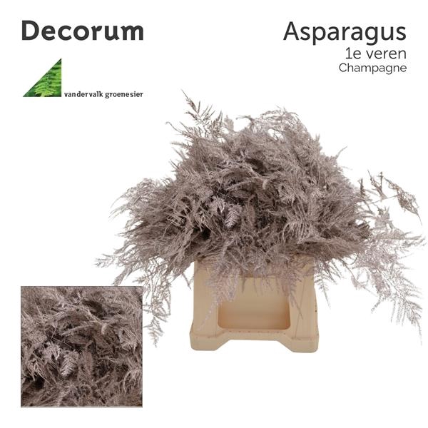 <h4>Asp 1e veren Champagne</h4>