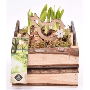 Hout vierk. met handvat 12,5x12,5cm