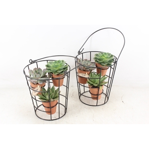 arr2 PL - Emmer frame 3 terra pot 285/6
