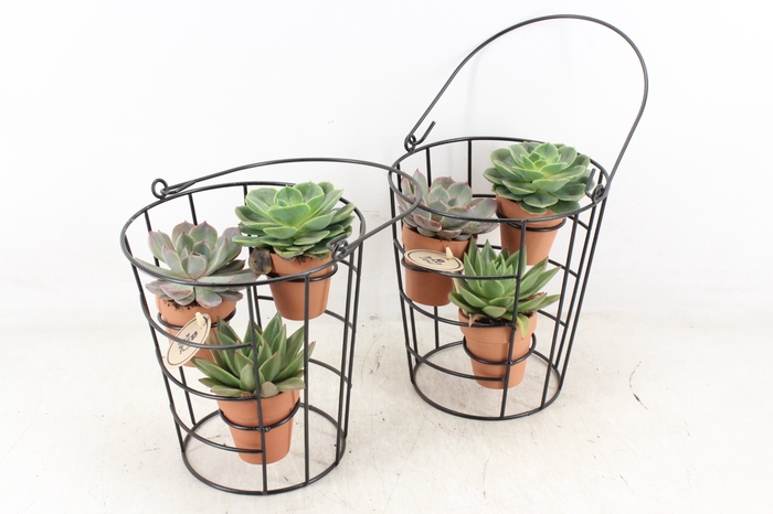 <h4>arr2 PL - Emmer frame 3 terra pot 285/6</h4>