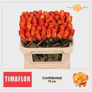 R GR CONFIDENTIAL