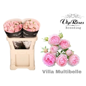 R TR VILLA MULTIBELL