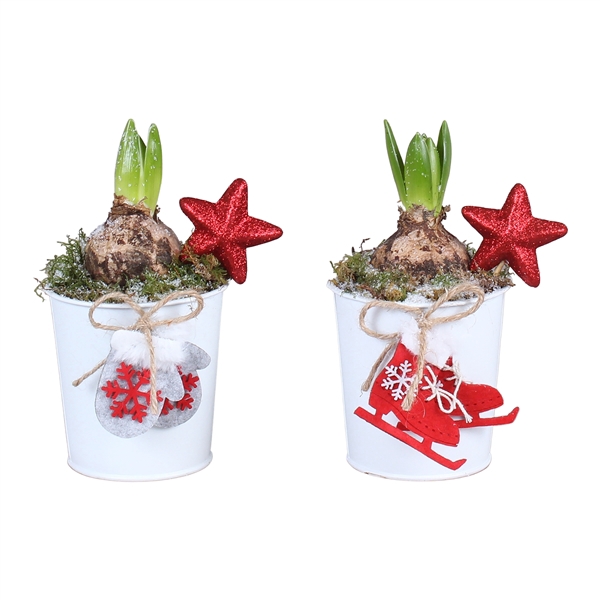 <h4>Christmas Bulbs Special: Zinc pot X-mas White ø10cm with 1PP</h4>