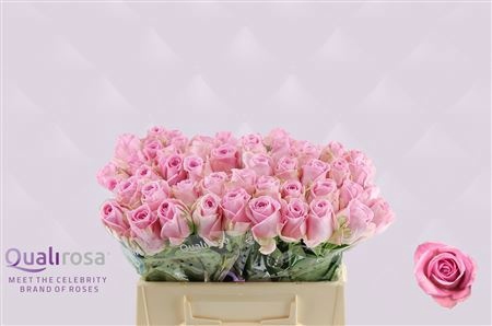 <h4>R GR HEIDI!</h4>