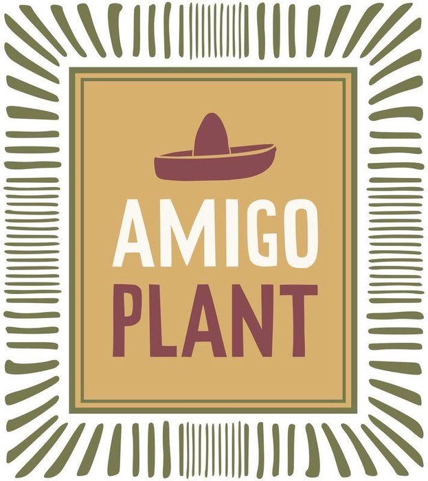 <h4>ECHEV MIRANDA</h4>