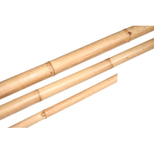 Branch Bamboo L210D4