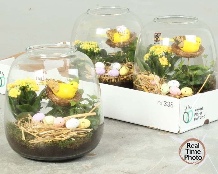 <h4>ARR KAMERPL</h4>