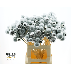 Dried Deco Christmass Ball Silver Festival