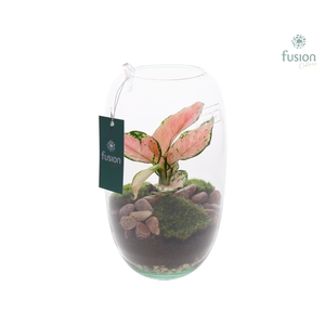 Green Bottle Isabella Small H25H26 FC22.1137