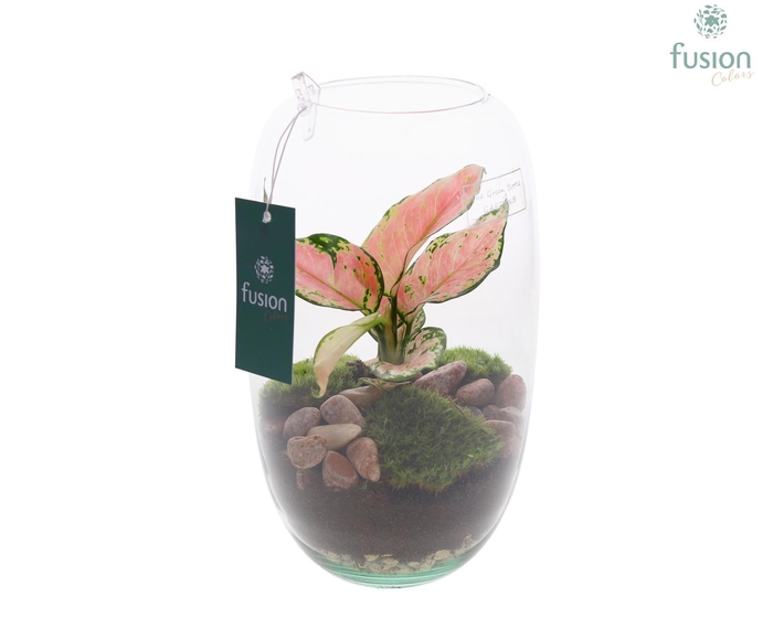 <h4>Green Bottle Isabella Small H25H26 FC22.1137</h4>