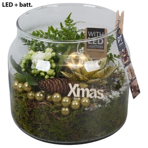 <h4>PTCHG5764 Arrangementen Kerst</h4>