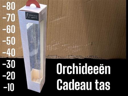 <h4>Orchidee Cadeau Tas 70x14x12.2</h4>