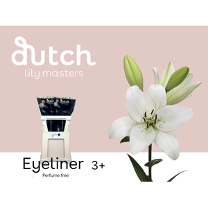 Li La Eyeliner 3+ Lily Master
