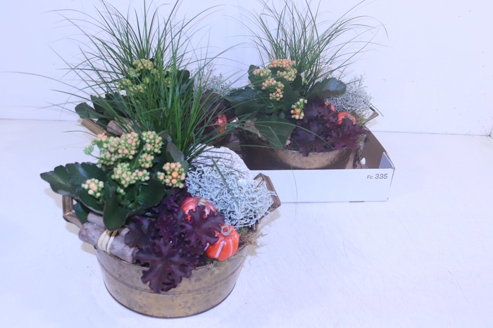 <h4>ARR TUINPLANTEN</h4>