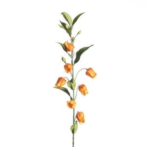 AF Sandersonia L97cm Orange