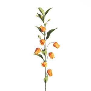 AF Sandersonia L97cm Orange