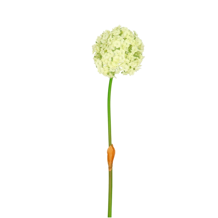 Artificial flowers Allium 82cm