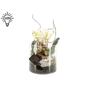 61701: X-mas arrangement