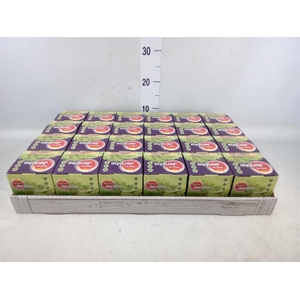 Selaginella lepidophylla