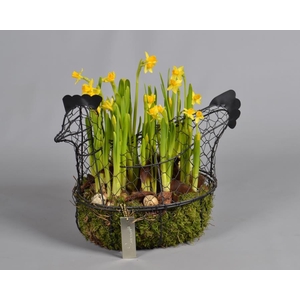 Metaal rek met Narcis Tat