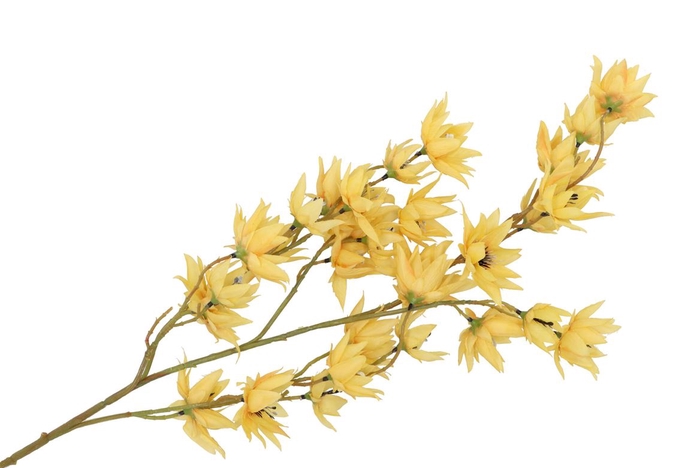 <h4>Silk Clematis Tak Yellow 63cm</h4>