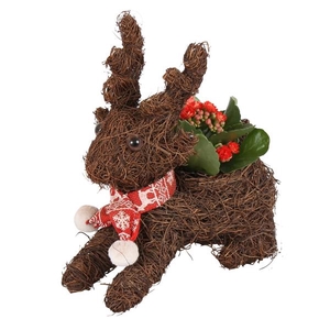 Christmas Arr. Indoor Salim Reindeer with Scarf Ø23cm 1PP