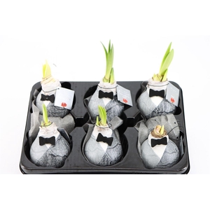 Wax Hipp Giletz Bow Tie