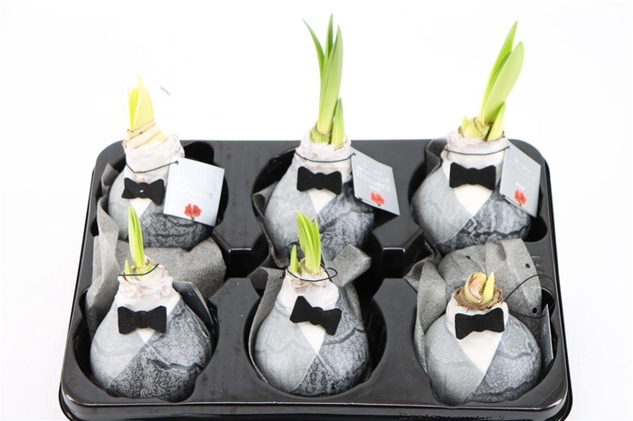 <h4>Wax Hipp Giletz Bow Tie</h4>