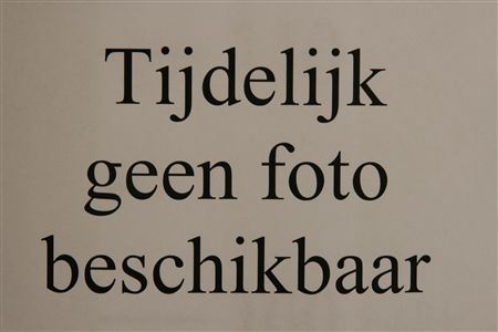 <h4>R Gr Red Promise</h4>