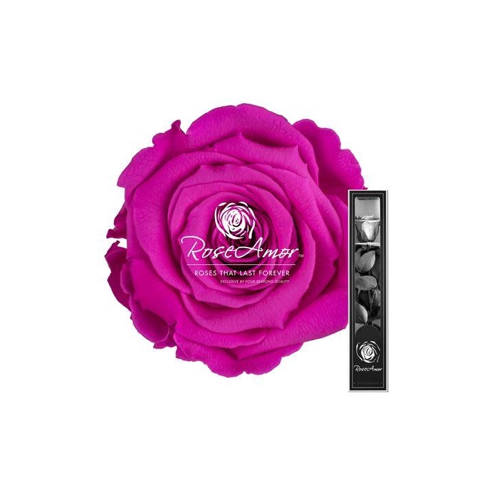 <h4>30cm Stem Pin07</h4>