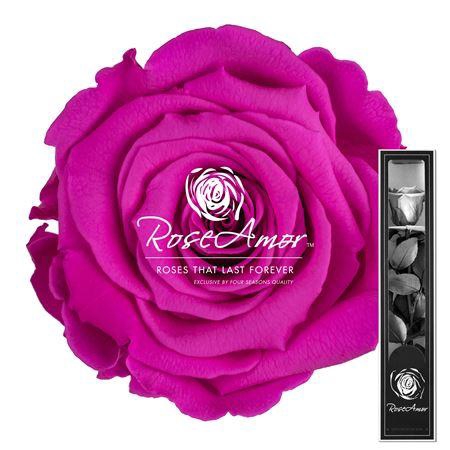 <h4>30cm Stem Pin07</h4>