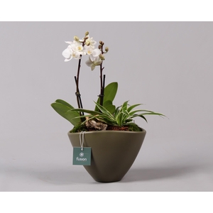 Halloween keramiek bootvorm wit D18,5